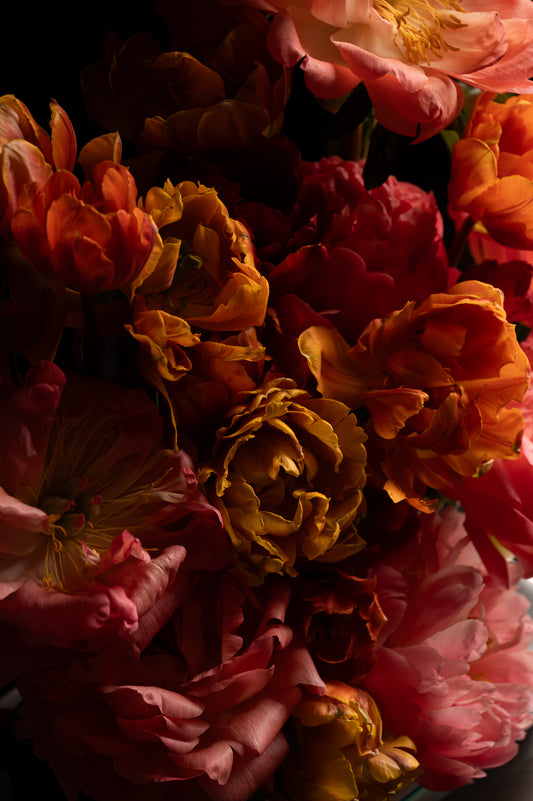 Peonies and Tulips Floral Fine Art Print