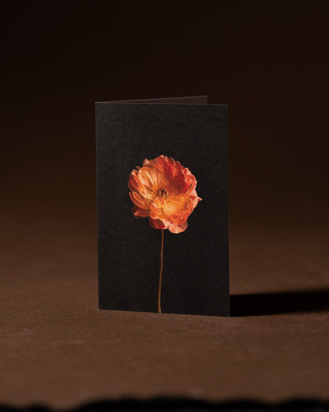 coral charm peony card blank