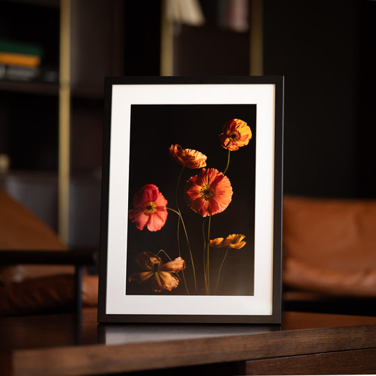 poppies fine art print in a black frame