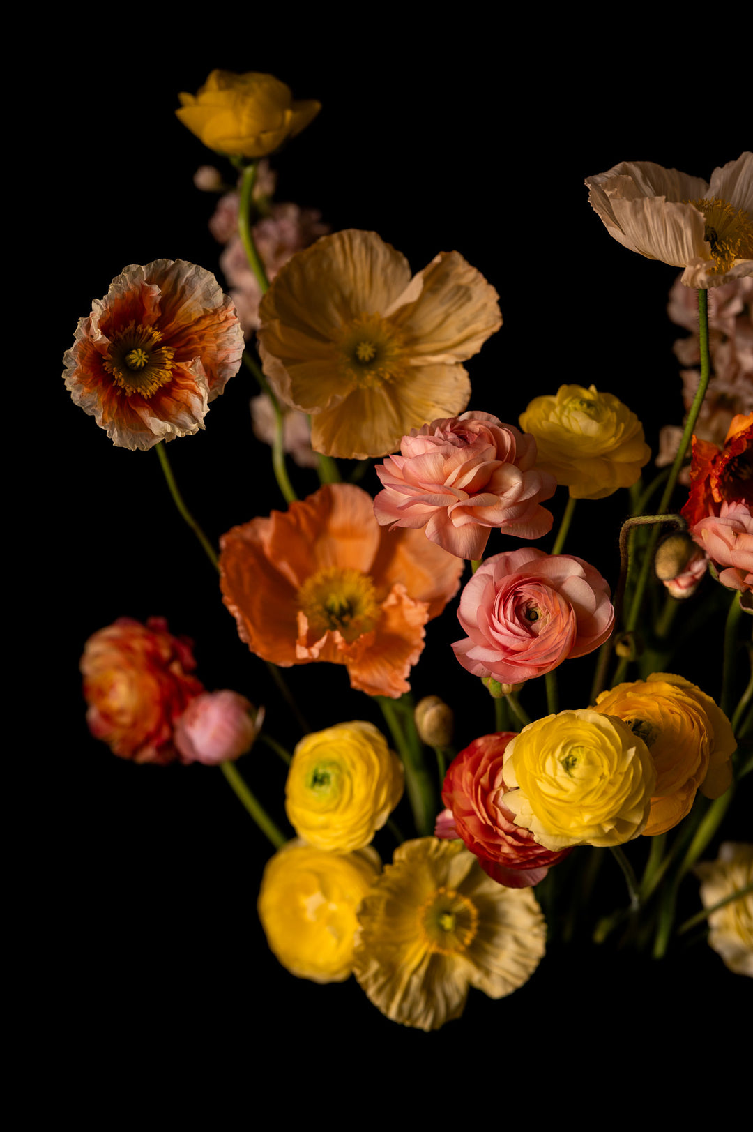 floral home decor of ranunculus and poppies floral fine art print