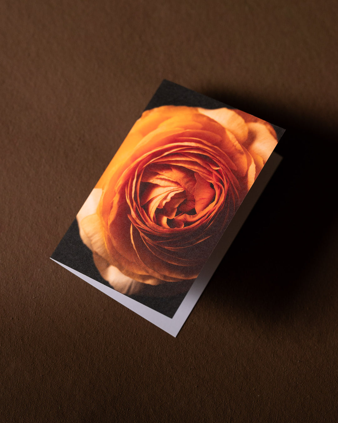 flower greeting card with close-up of ranunculus in a peach colour