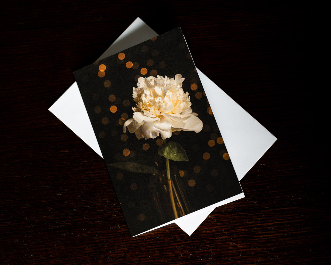 floral christmas card with a white flower and lights