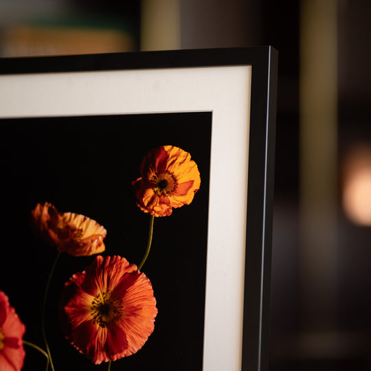 macro close up of the black frame surrounding poppies floral print