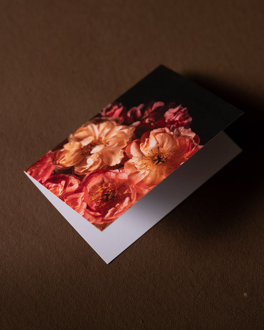 blank greeting card with coral charm peonies